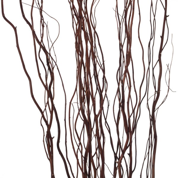 Uniquewise Brown Dry Branches Authentic Willow Birch Sticks for Home Decoration, Wedding Craft, and Floor Vase - QI004415