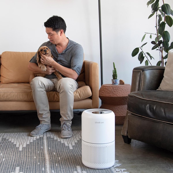 Levoit Core P350 Carbon True HEPA Air Purifier 219 sq ft - HEAPAPLVNUS0035
