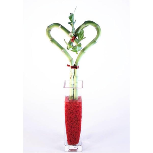 Vista 10 in. Single Heart Bamboo - Glass Block Bud Vase - VI2626626