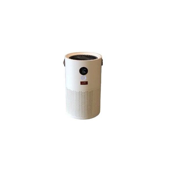 Whisps DUET Cordless Air Purifier including Ionizers and HEPA Filters (Battery Included) - CVDAP