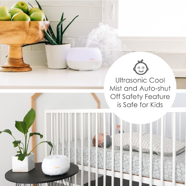 Crane Usa 2-in-1 Personal Ultrasonic Cool Mist Humidifier & Essential Oil Diffuser, 0.2 Gal. - EE-5951AD