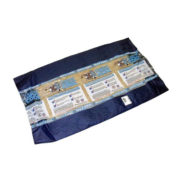 Exero 24 x 24 in. Long Strand Excelsior Aspen Pad, Beige, 24PK - EX3306021