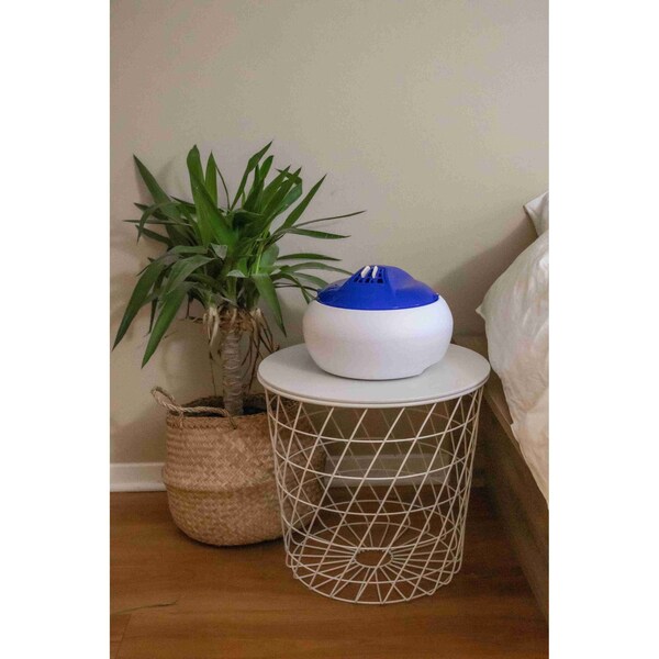 Crane Usa 1 Gal. Steam Vaporizer Humidifier, Blue/White - EE-8619B