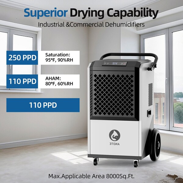 Edendirect Dehumidifier, White, 20.8 in, 115 V - IR-DE260