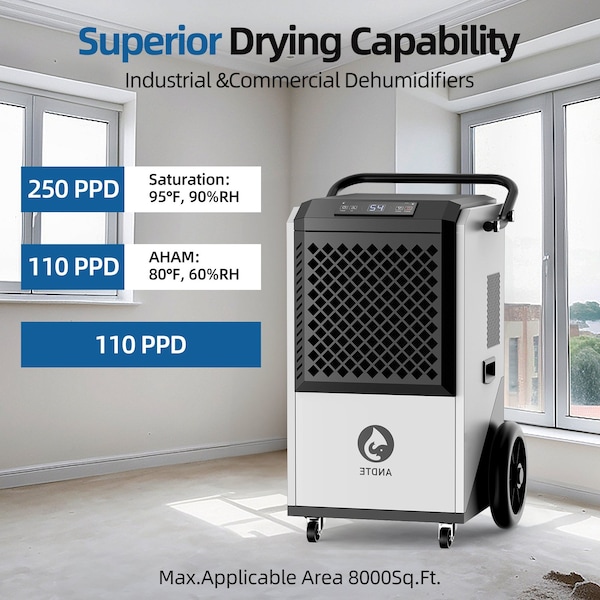 Edendirect Dehumidifier, White, 20.8 in, 115 V - IR-DE260