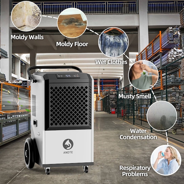 Edendirect Dehumidifier, White, 20.8 in, 115 V - IR-DE260