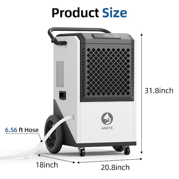 Edendirect Dehumidifier, White, 20.8 in, 115 V - IR-DE260