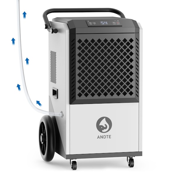 Edendirect Dehumidifier, White, 20.8 in, 115 V - IR-DE260