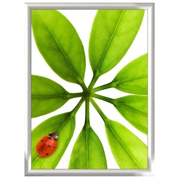M&T Displays Snap Frame 18 in. X 24 in. Poster Size, 1 in. Silver, Mitred Corner - UCN255N018X7000