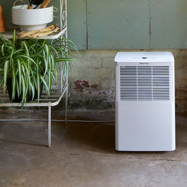 Hisense 4.25 quarts, White, 13.2 in, Plastic - AHD2524K1W