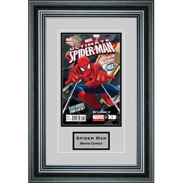 Perfect Cases Perfect Cases SCMCENG-PM Single Comic Book Frame with Engraving in Premium Moulding - SCMCENG-PM