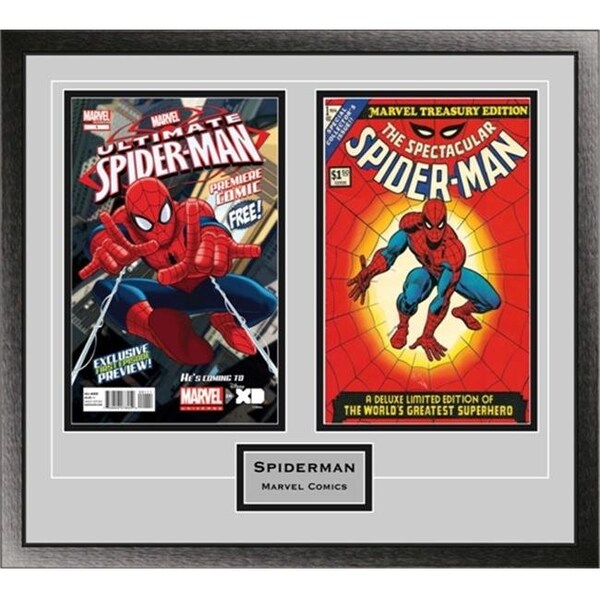 Perfect Cases Perfect Cases DBCMCENG-CL Double Comic Book Frame with Engraving in Classic Moulding - DBCMCENG-CL