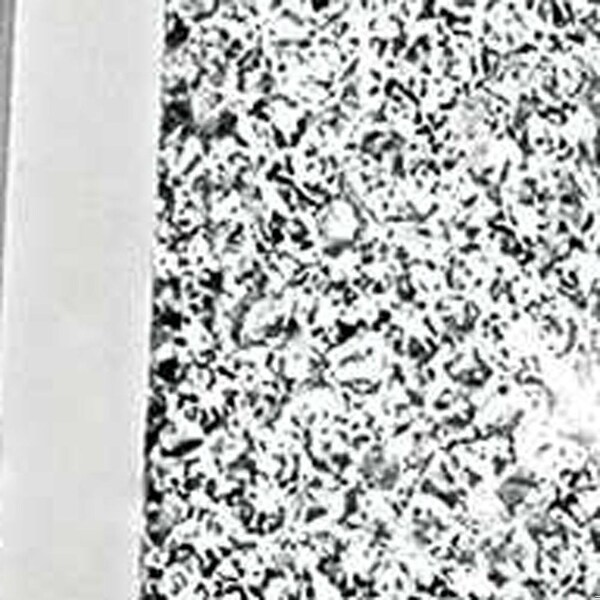 Homeroots 8 x 10 in. Silver Crystalized Picture Frame - 375910