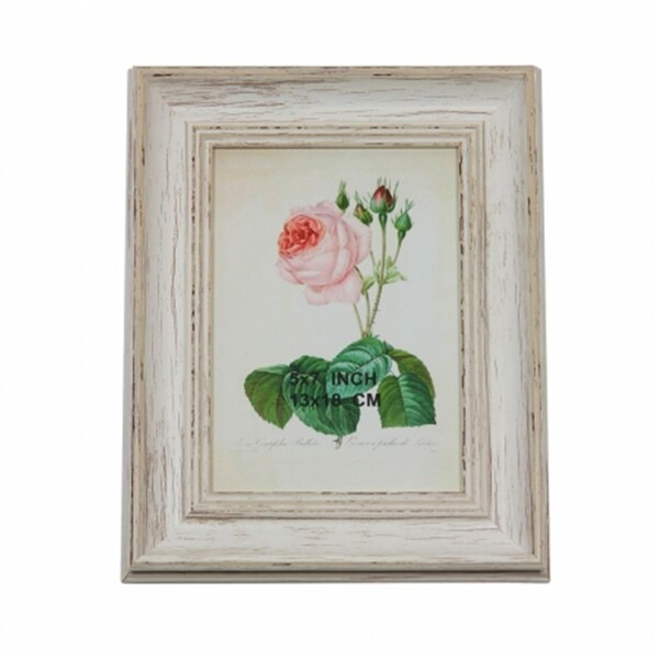 Purely Pecan 9.75 in. Vintage Inspired Distressed White Photo Picture Frame - 32013916