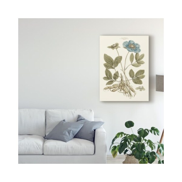 Trademark Fine Art John Miller 'Bashful Blue Florals I' Canvas Art, 24x32 - WAG03960-C2432GG