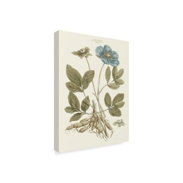 Trademark Fine Art John Miller 'Bashful Blue Florals I' Canvas Art, 24x32 - WAG03960-C2432GG
