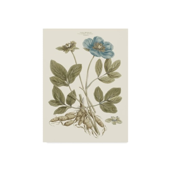 Trademark Fine Art John Miller 'Bashful Blue Florals I' Canvas Art, 24x32 - WAG03960-C2432GG