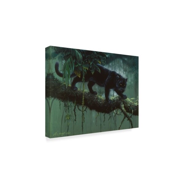 Trademark Fine Art Harro Maass 'Black Jaguar Stalking' Canvas Art, 14x19 - ALI35669-C1419GG