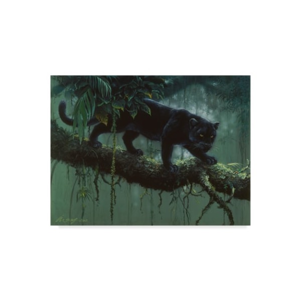 Trademark Fine Art Harro Maass 'Black Jaguar Stalking' Canvas Art, 14x19 - ALI35669-C1419GG