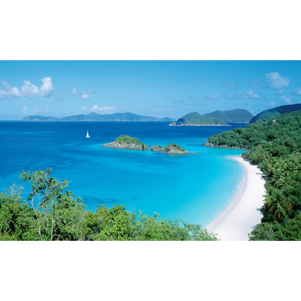 Biggies Scenes Wall Murals-Island Cove, 54 in wide x 27 in high - BG-WM-ICV-54