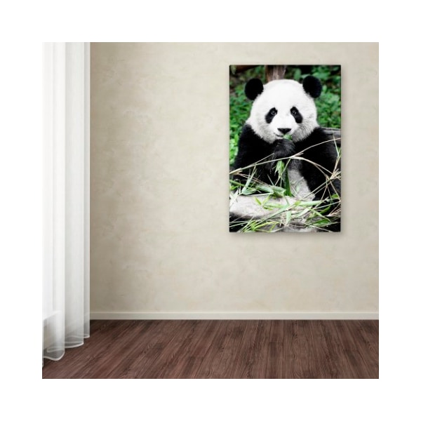 Trademark Fine Art Philippe Hugonnard 'Giant Panda' Canvas Art, 30x47 - PH0376-C3047GG
