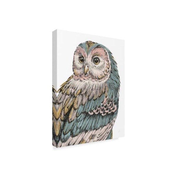 Trademark Fine Art Daphne Brissonnet 'Beautiful Owls I Pastel' Canvas Art, 18x24 - WAP03634-C1824GG