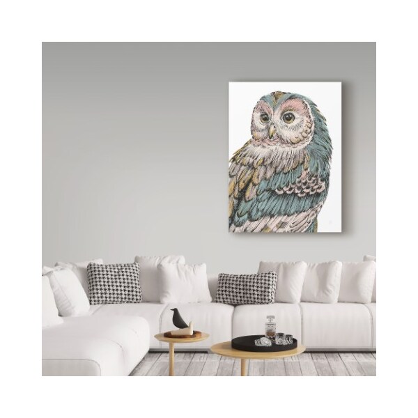 Trademark Fine Art Daphne Brissonnet 'Beautiful Owls I Pastel' Canvas Art, 18x24 - WAP03634-C1824GG