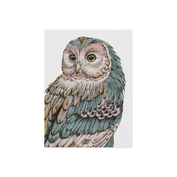 Trademark Fine Art Daphne Brissonnet 'Beautiful Owls I Pastel' Canvas Art, 18x24 - WAP03634-C1824GG