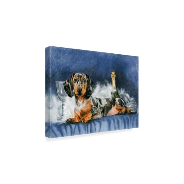 Trademark Fine Art Barbara Keith 'Dachshund New Years' Canvas Art, 14x19 - ALI25077-C1419GG