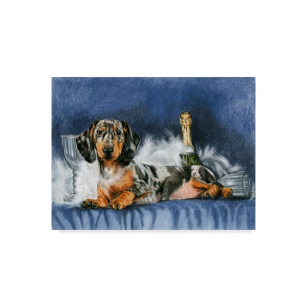 Trademark Fine Art Barbara Keith 'Dachshund New Years' Canvas Art, 14x19 - ALI25077-C1419GG