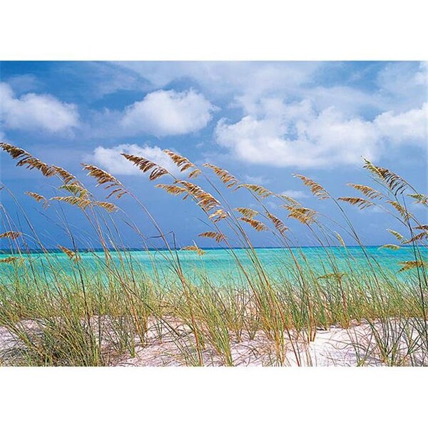 Brewster Home Fashions Brewster Home Fashions 8-515 Ocean Breeze Wall Mural - 100 in. - 8-515