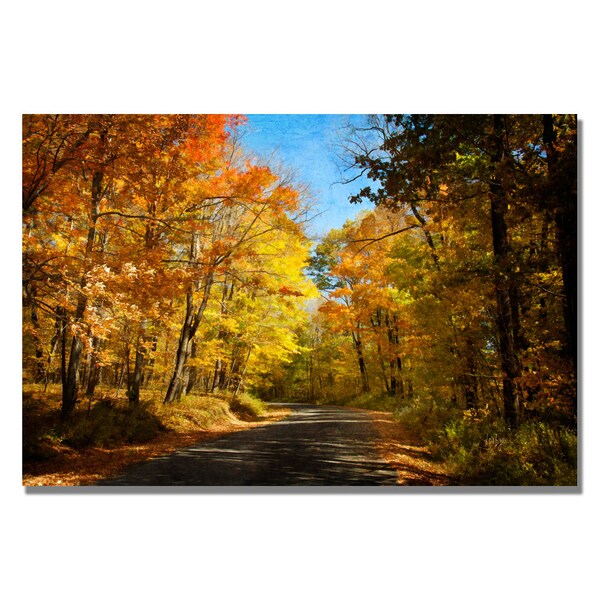 Trademark Fine Art Lois Bryan 'Fall Walkway' Canvas Art, 22x32 - LBR0174-C2232GG