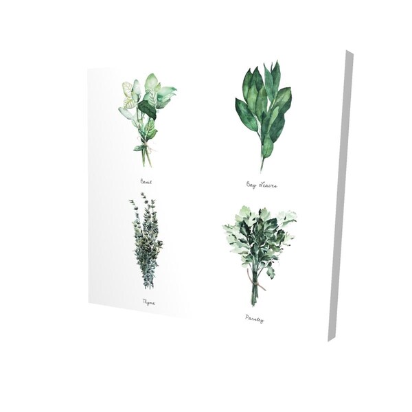 Fondo 16 x 16 in. Fine Herbs-Print on Canvas - FO3331577