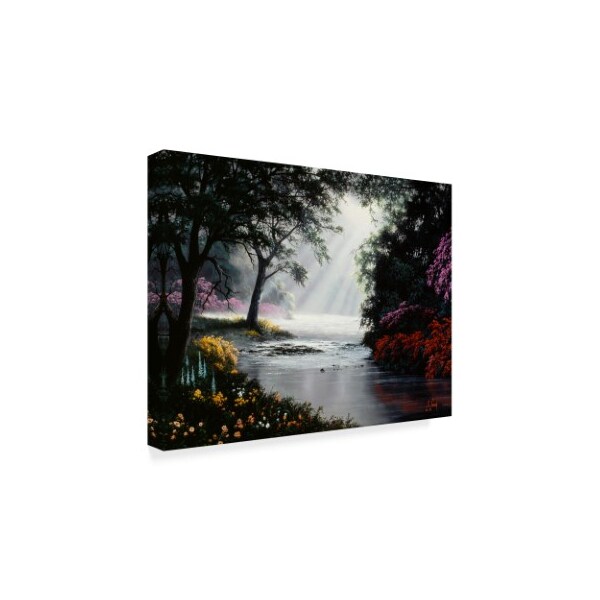 Trademark Fine Art Anthony Casay 'Garden Scene 3' Canvas Art, 14x19 - ALI20222-C1419GG
