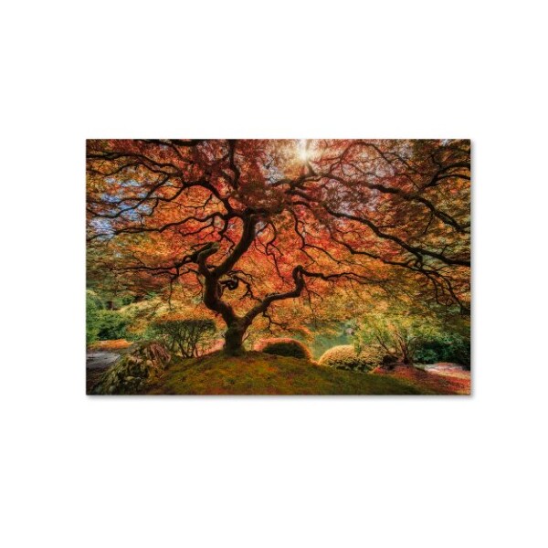 Trademark Fine Art Moises Levy 'The Tree Horizontal' Canvas Art, 30x47 - ALI6047-C3047GG