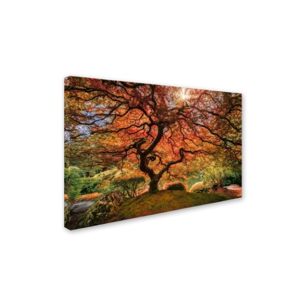 Trademark Fine Art Moises Levy 'The Tree Horizontal' Canvas Art, 30x47 - ALI6047-C3047GG