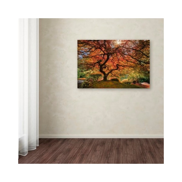 Trademark Fine Art Moises Levy 'The Tree Horizontal' Canvas Art, 30x47 - ALI6047-C3047GG