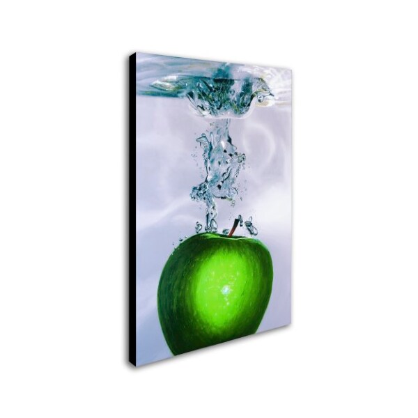 Trademark Fine Art Roderick Stevens 'Apple Splash II' Canvas Art, 22x32 - RS011-C2232GG