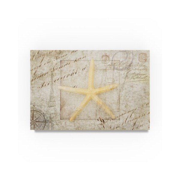 Trademark Fine Art Lightboxjournal 'Gypsy Sea Type Star' Canvas Art, 12x19 - ALI23671-C1219GG
