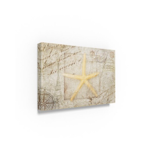 Trademark Fine Art Lightboxjournal 'Gypsy Sea Type Star' Canvas Art, 12x19 - ALI23671-C1219GG