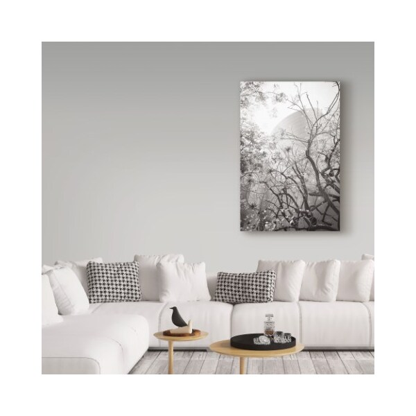 Trademark Fine Art Chris Moyer 'Dreamy Disney Concert View' Canvas Art, 12x19 - ALI41525-C1219GG