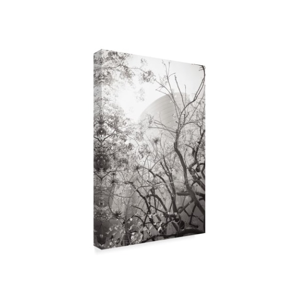 Trademark Fine Art Chris Moyer 'Dreamy Disney Concert View' Canvas Art, 12x19 - ALI41525-C1219GG
