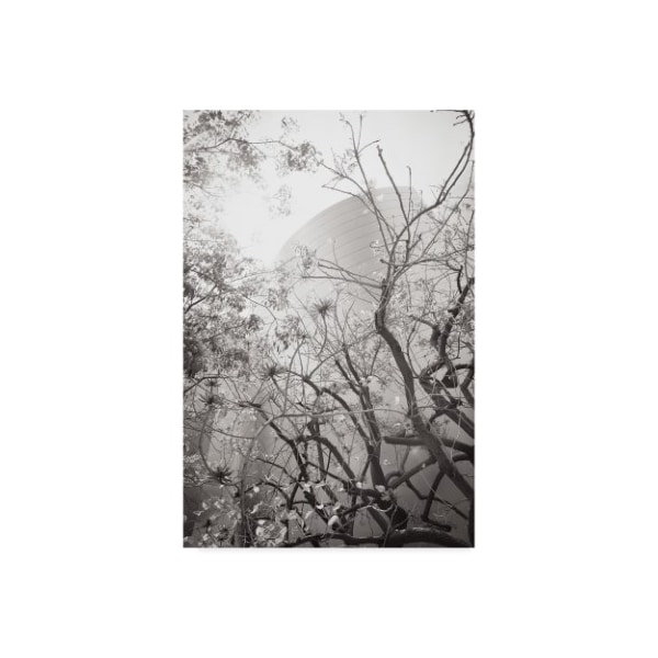 Trademark Fine Art Chris Moyer 'Dreamy Disney Concert View' Canvas Art, 12x19 - ALI41525-C1219GG