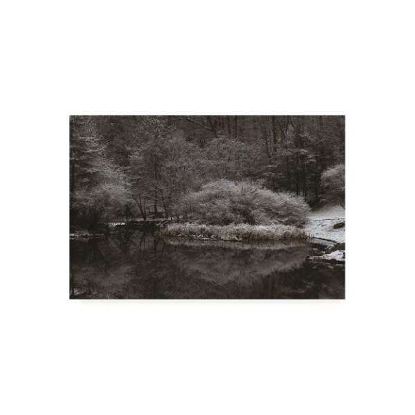 Trademark Fine Art Kurt Shaffer Photographs 'Serene Winter Scene' Canvas Art, 16x24 - KS01533-C1624GG