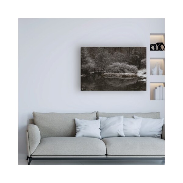 Trademark Fine Art Kurt Shaffer Photographs 'Serene Winter Scene' Canvas Art, 16x24 - KS01533-C1624GG