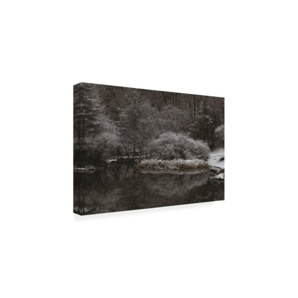 Trademark Fine Art Kurt Shaffer Photographs 'Serene Winter Scene' Canvas Art, 16x24 - KS01533-C1624GG