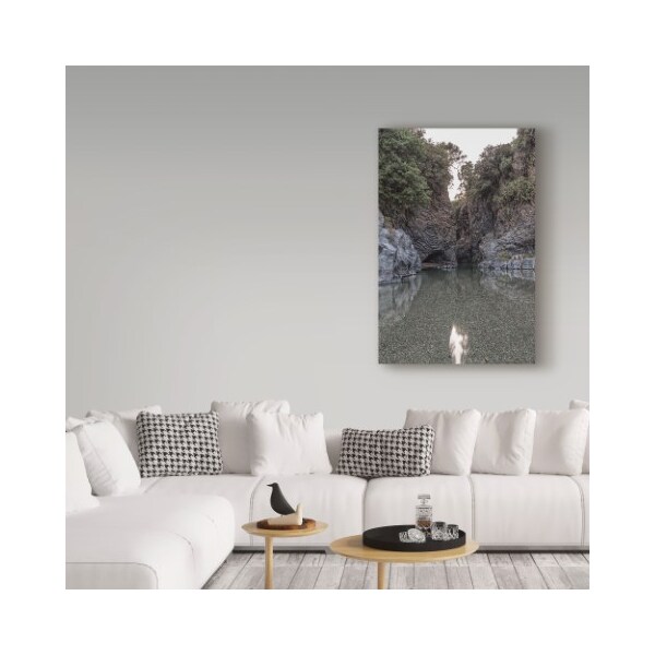 Trademark Fine Art Giuseppe Torre 'Rock Pool' Canvas Art, 16x24 - ALI35259-C1624GG