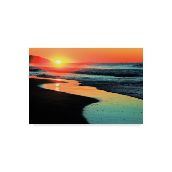 Trademark Fine Art Beata Czyzowska Young 'Only in Australia' Canvas Art, 16x24 - BC00344-C1624GG