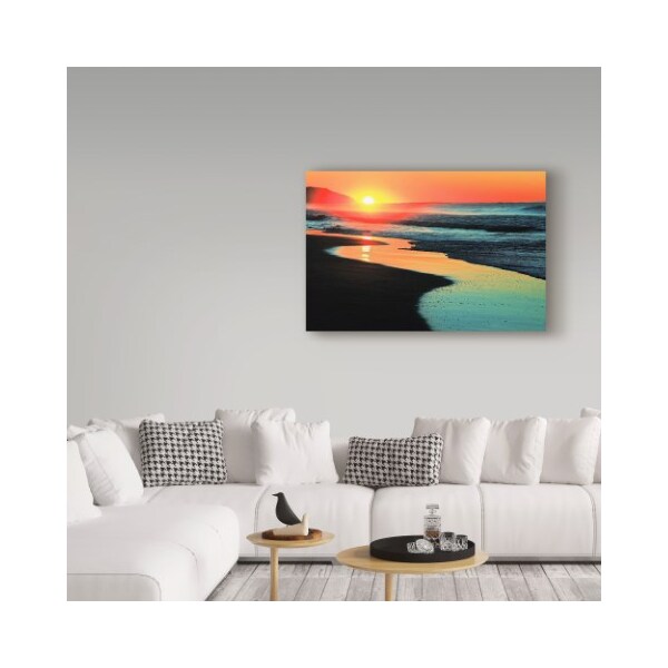 Trademark Fine Art Beata Czyzowska Young 'Only in Australia' Canvas Art, 16x24 - BC00344-C1624GG