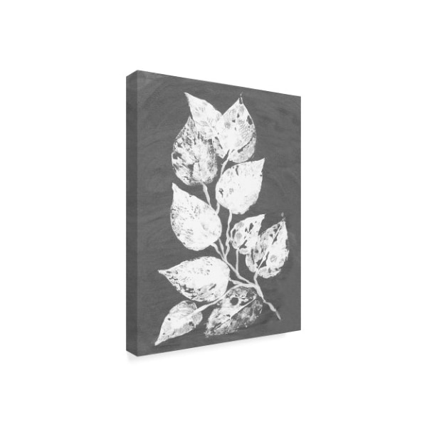 Trademark Fine Art Alicia Ludwig 'Frosty Philodendron Ii' Canvas Art, 18x24 - WAG01733-C1824GG